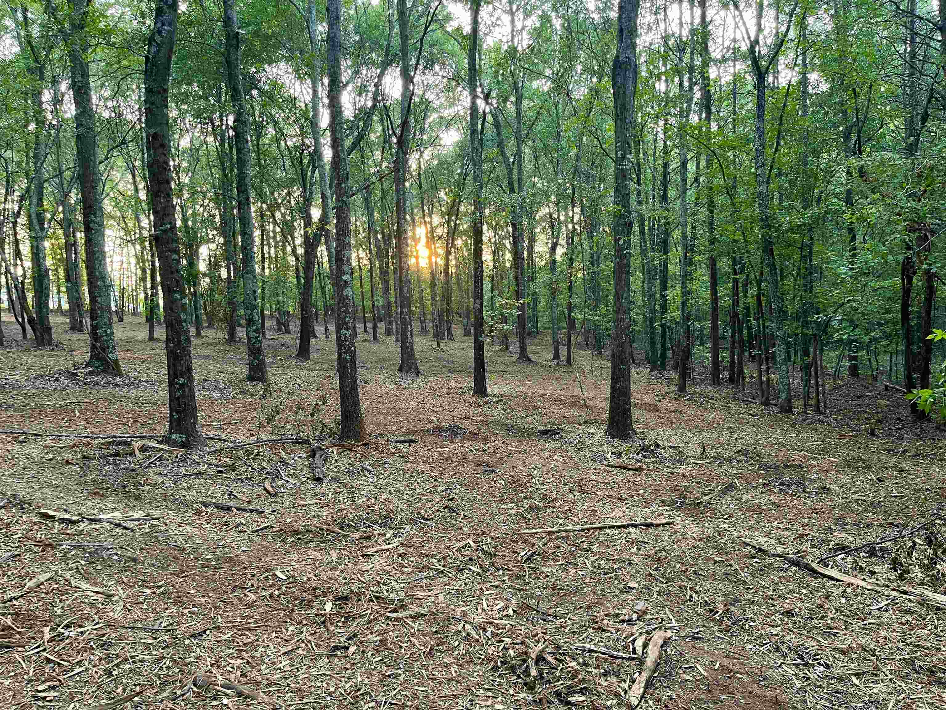 Tract 4 Iron Bridge Road Cowpens, SC 29330 - Photo 1 of 12