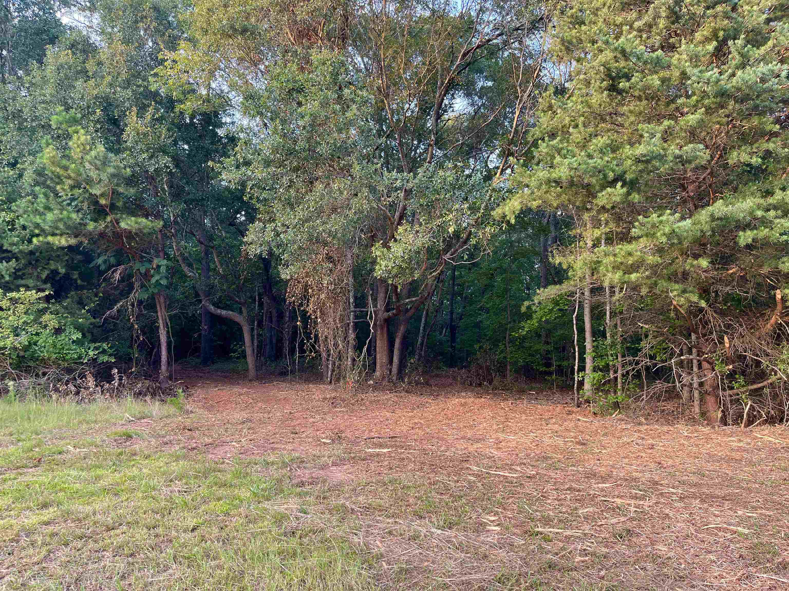 Tract 4 Iron Bridge Road Cowpens, SC 29330 - Photo 5 of 12
