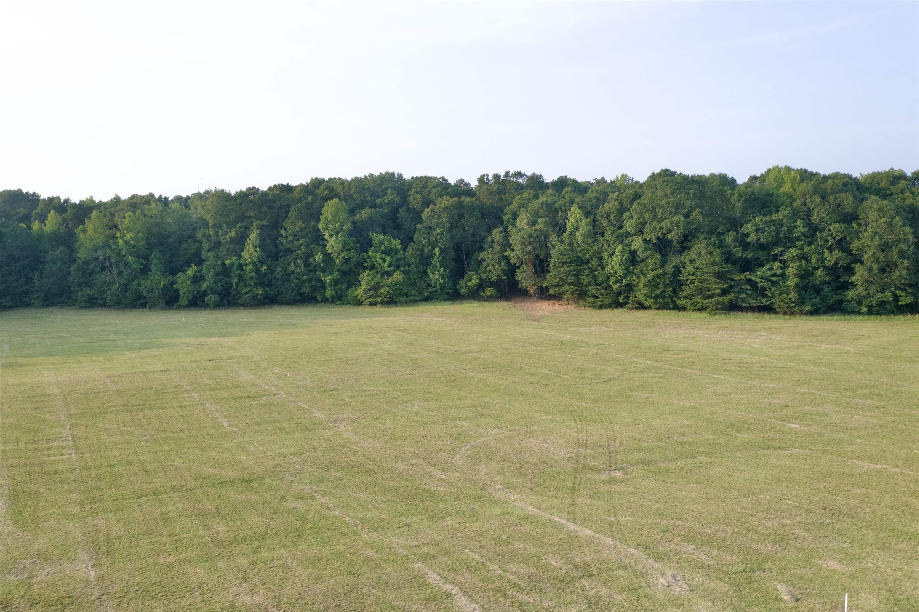 Tract 4 Iron Bridge Road Cowpens, SC 29330 - Photo 8 of 12