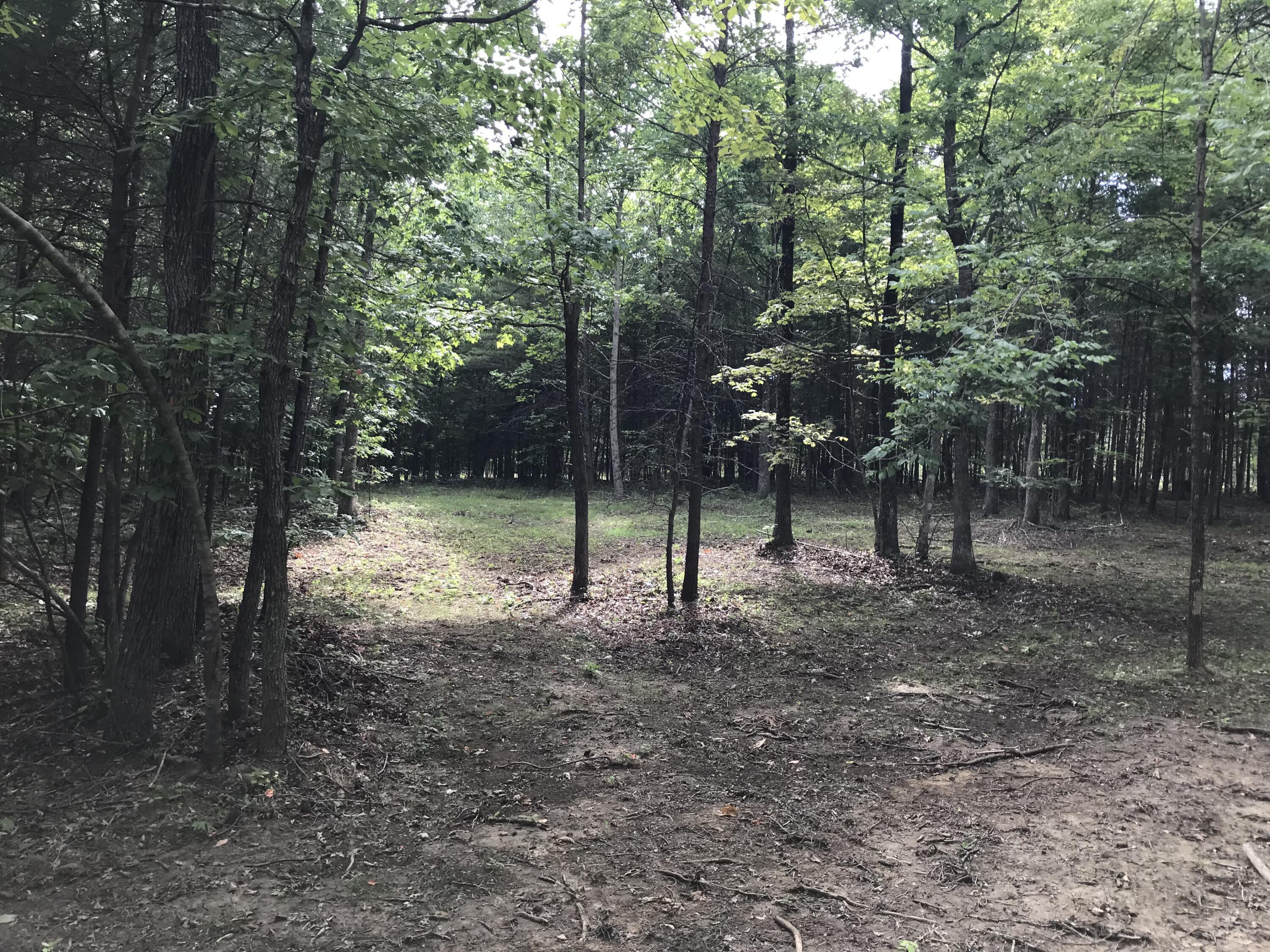 0 Quail Trail, Unit 38 Dunlap, TN 37327 - Photo 2 of 36 IMG_8541
