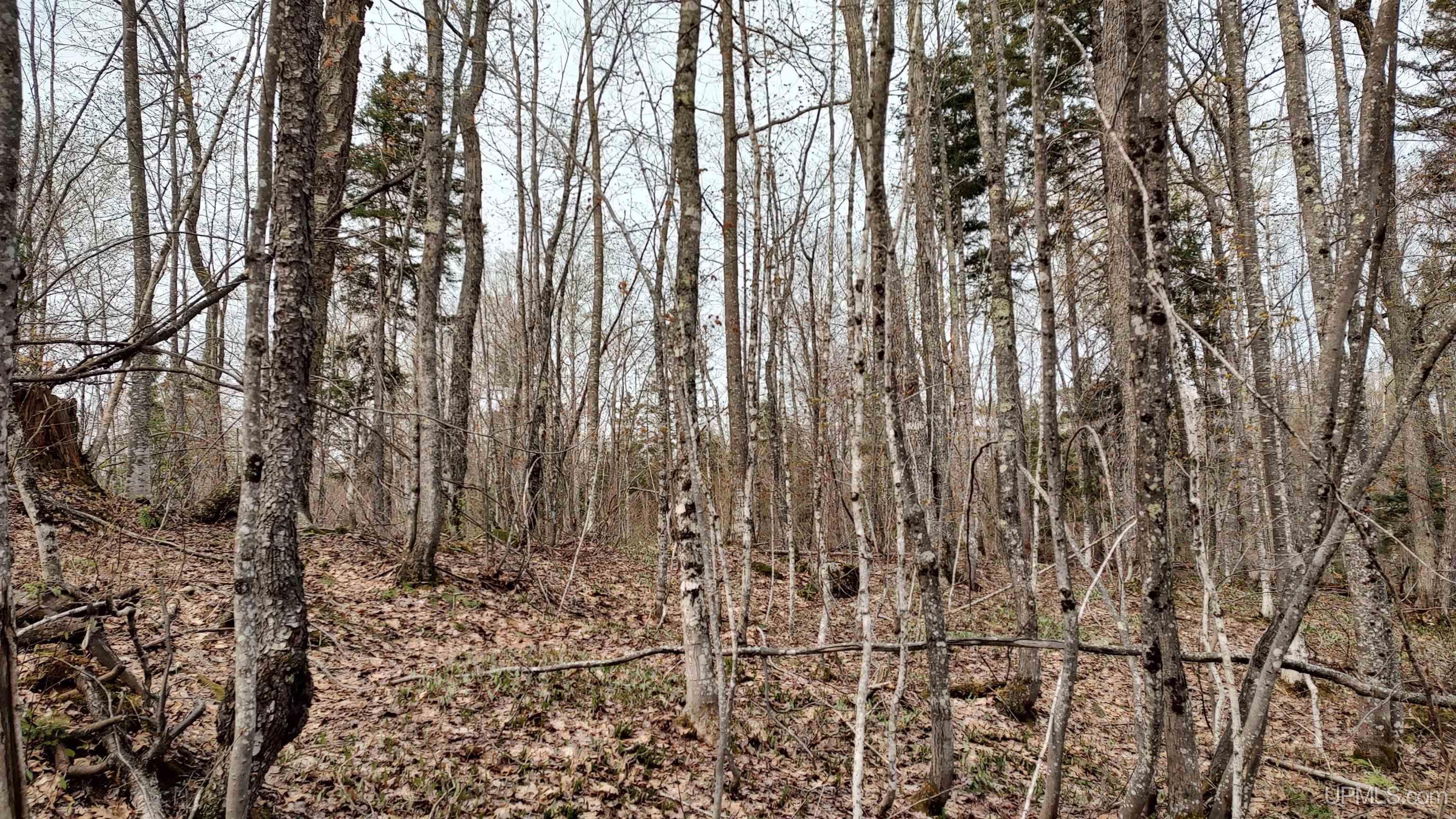 Tbd Tbd Durchman Lake Road Lanse, MI 49946 - Photo 31 of 56