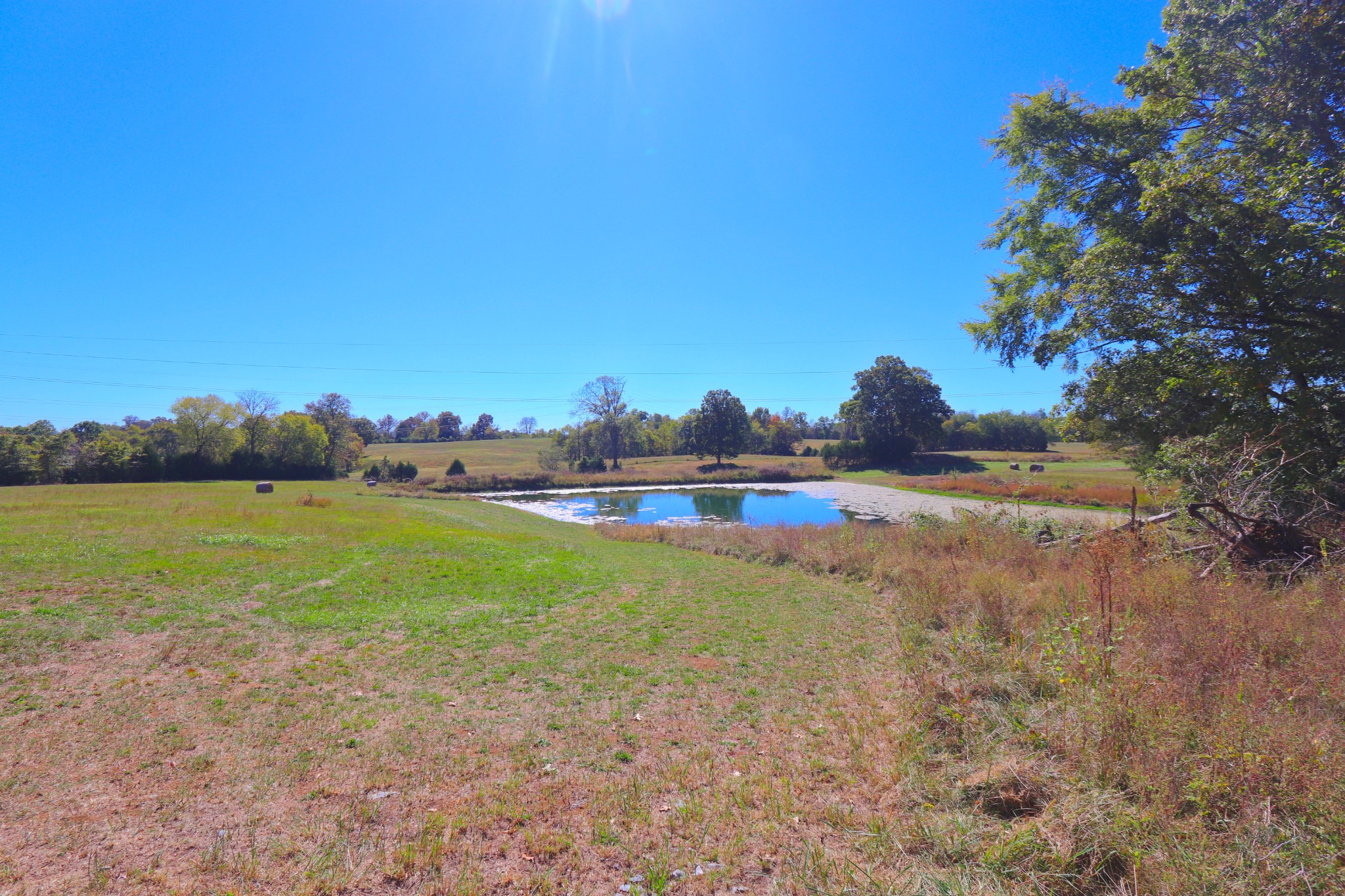 485 C Canoe Branch Road Castalian Springs, TN 37031 - Photo 15 of 29 a view of an outdoor space and a yard