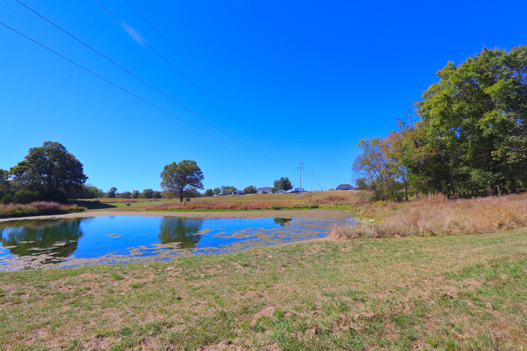 485 C Canoe Branch Road Castalian Springs, TN 37031 - Photo 16 of 29 a view of ocean with a yard