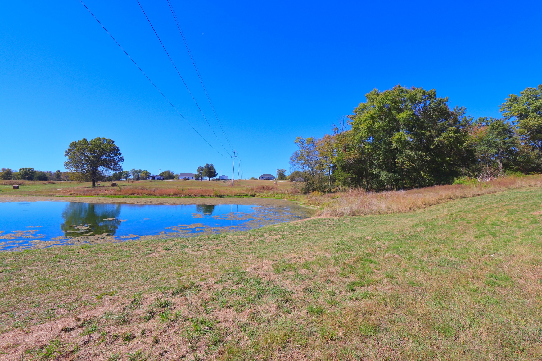 485 C Canoe Branch Road Castalian Springs, TN 37031 - Photo 17 of 29 a view of a field with an ocean
