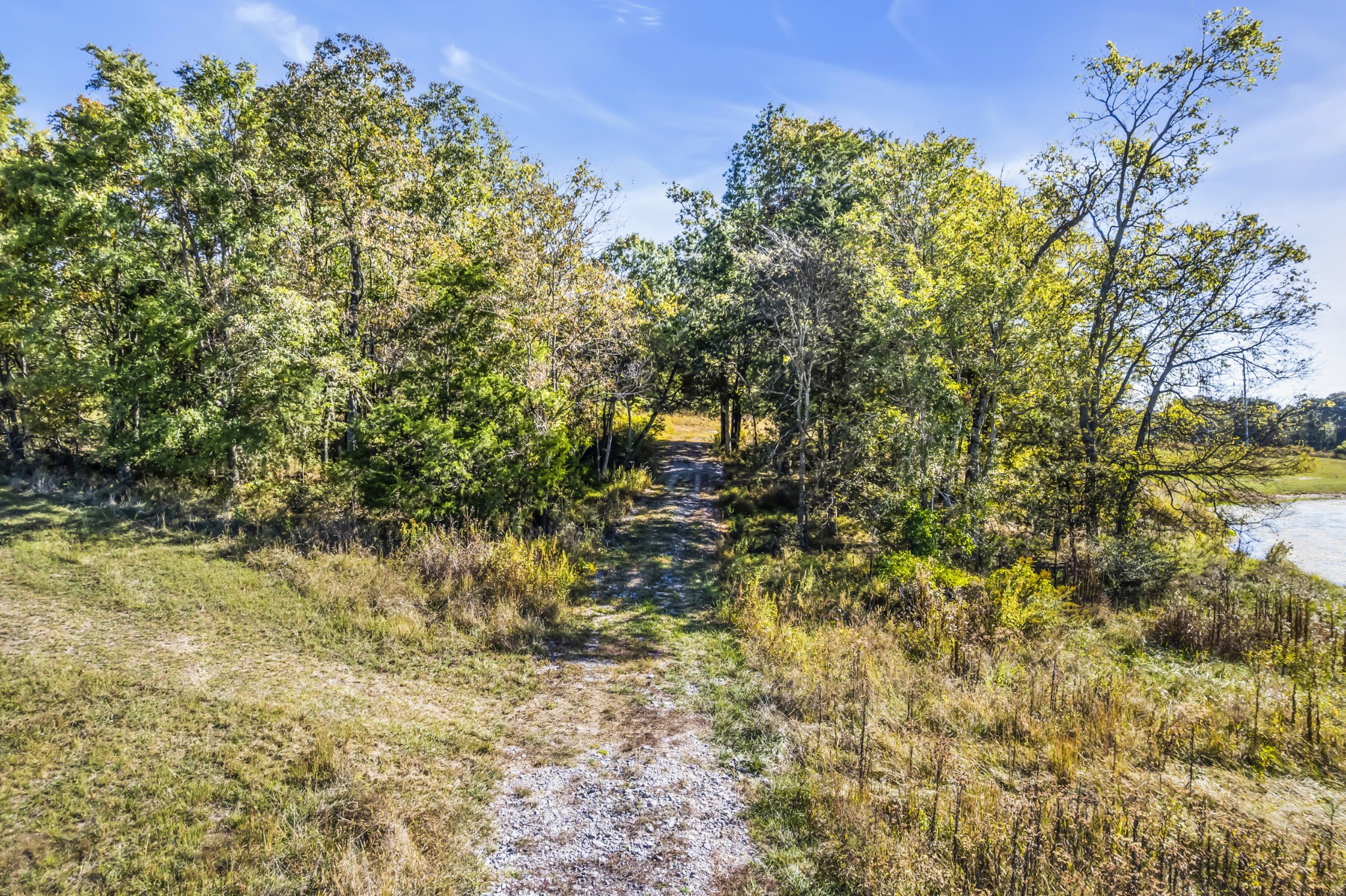 485 C Canoe Branch Road Castalian Springs, TN 37031 - Photo 21 of 29 a view of a tree with a yard