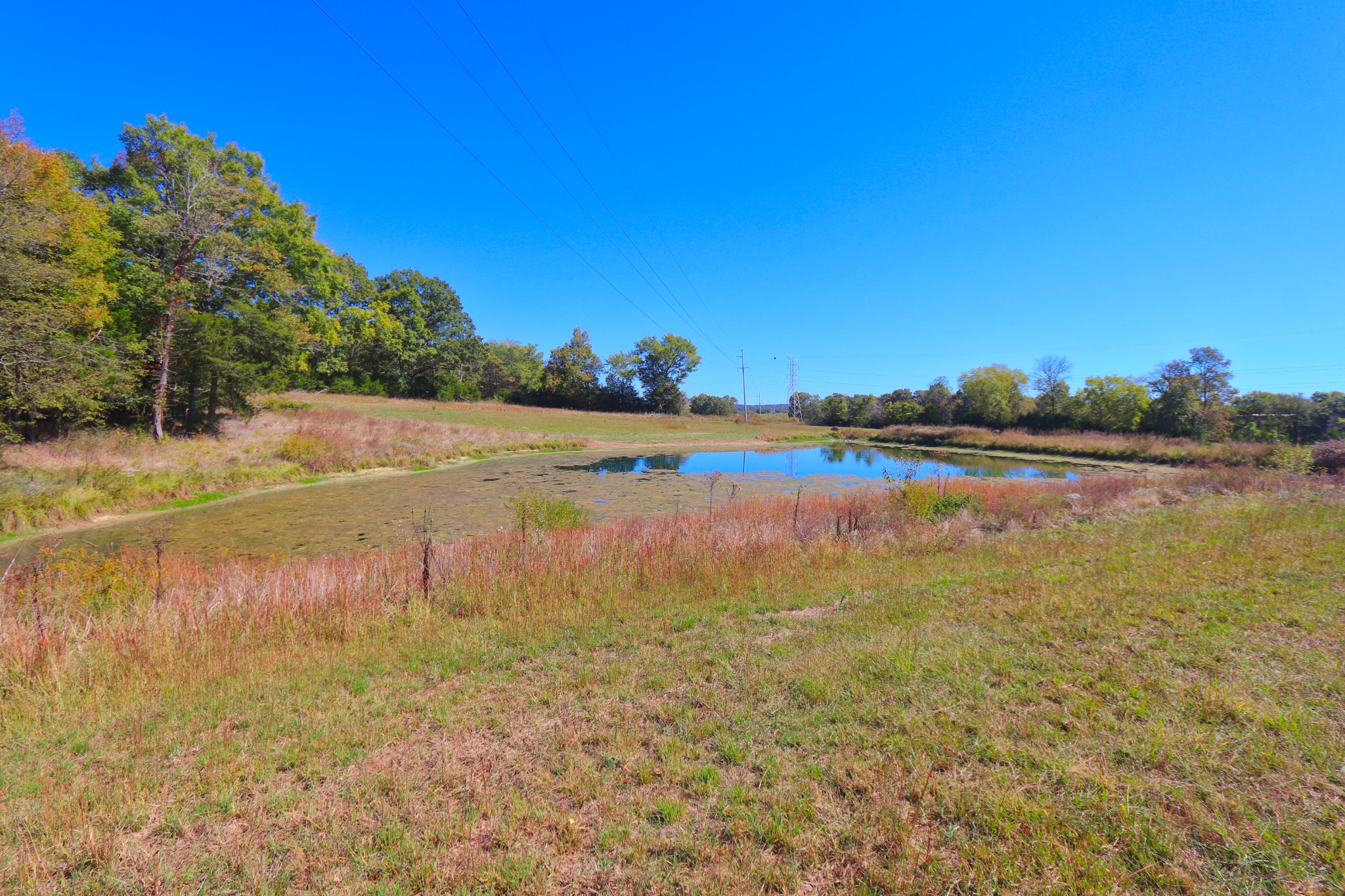 485 C Canoe Branch Road Castalian Springs, TN 37031 - Photo 22 of 29 a view of a lake with houses in the background