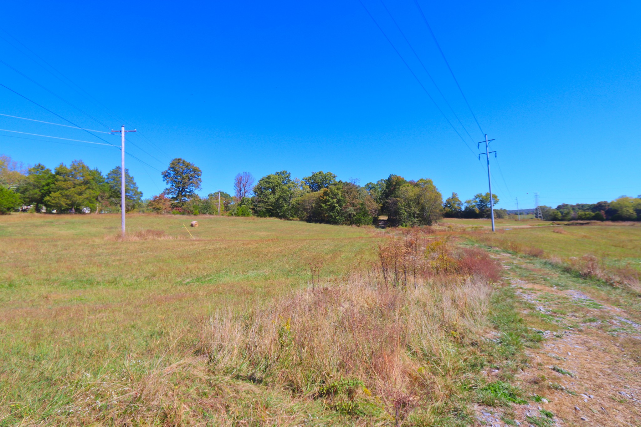 485 C Canoe Branch Road Castalian Springs, TN 37031 - Photo 28 of 29 a view of a field