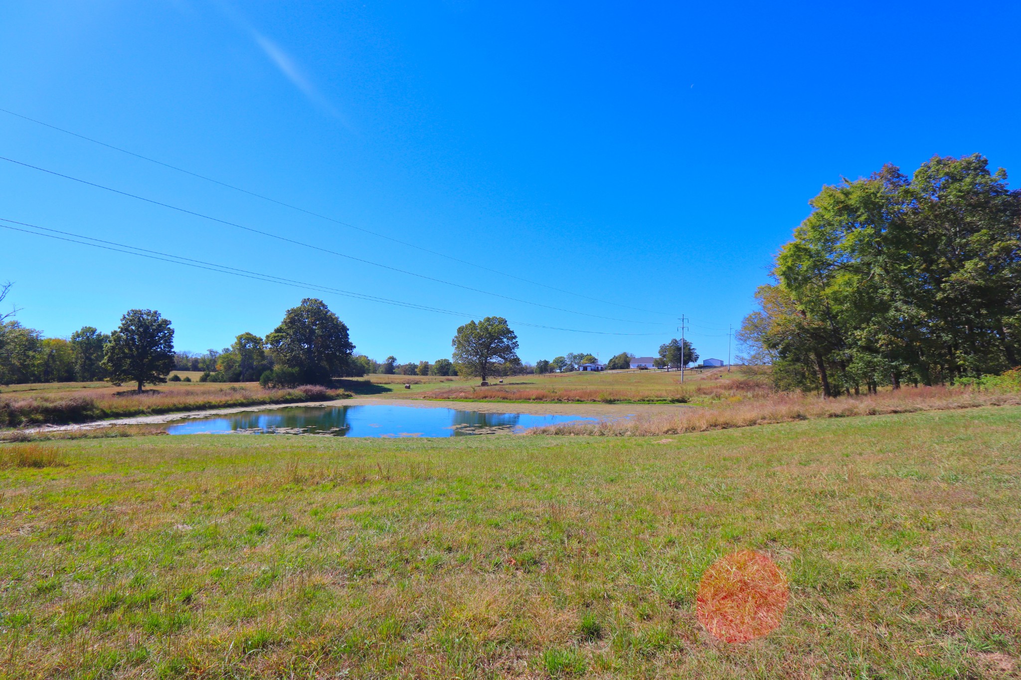 485 C Canoe Branch Road Castalian Springs, TN 37031 - Photo 6 of 29 a view of a swimming pool and an outdoor space