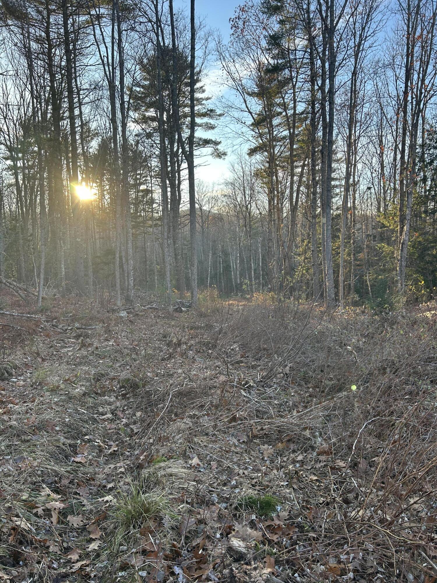 111 Start Road Camden, ME 04843 - Photo 11 of 13 IMG_1320