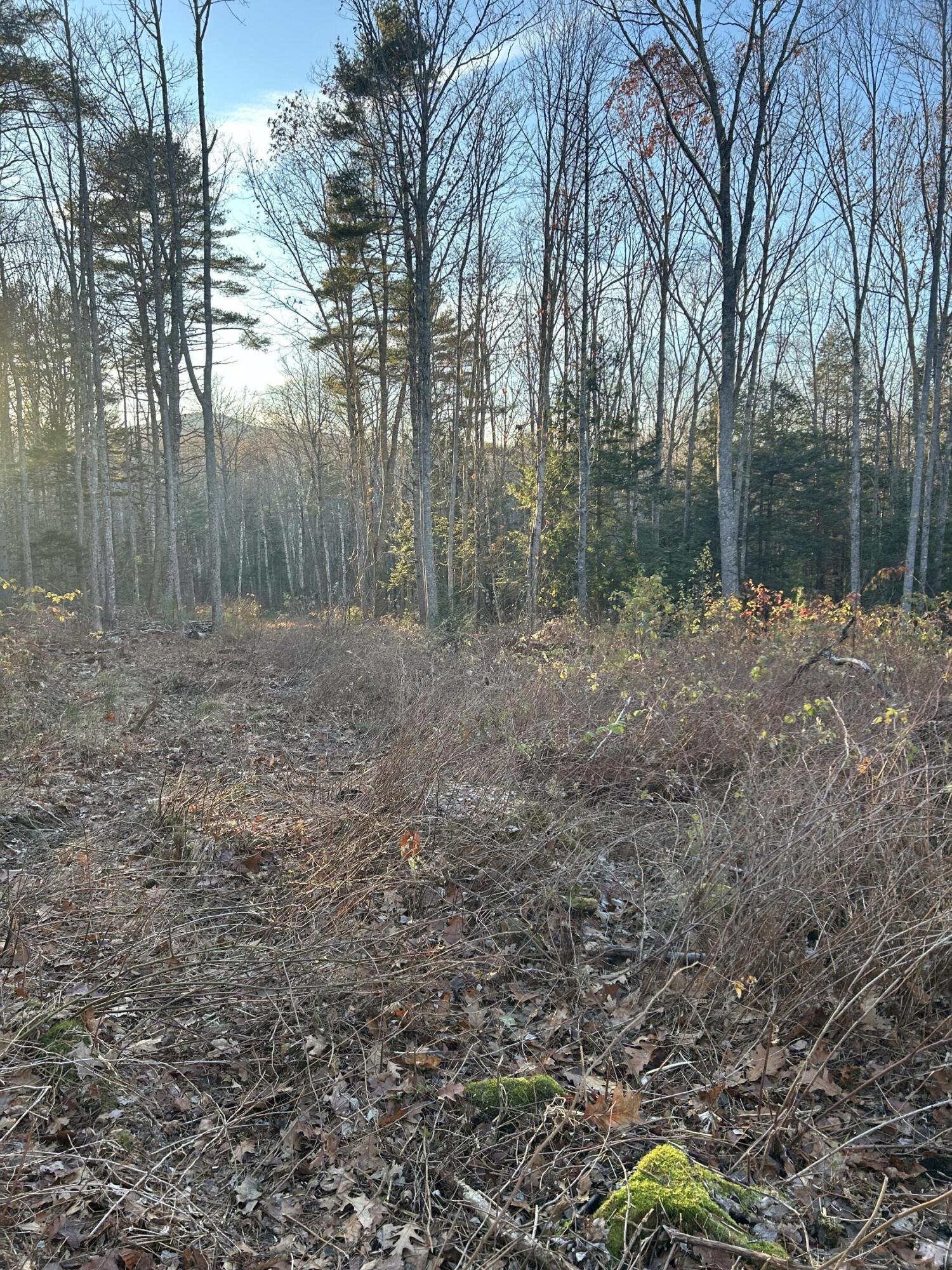 111 Start Road Camden, ME 04843 - Photo 12 of 13 IMG_1318