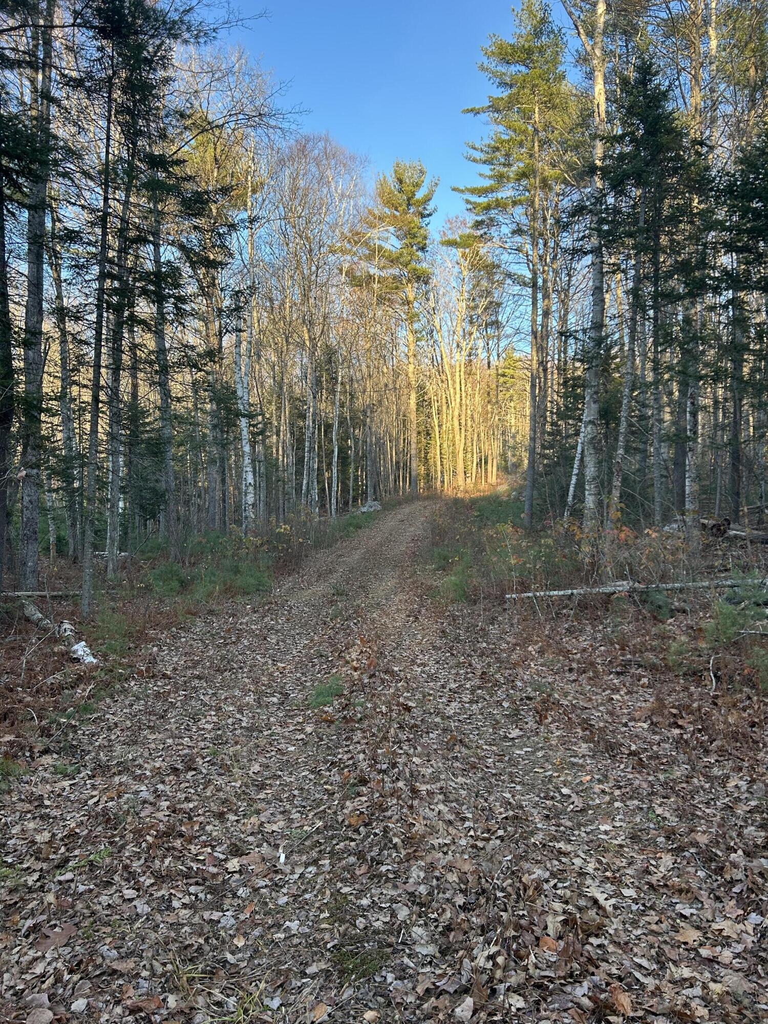 111 Start Road Camden, ME 04843 - Photo 7 of 13 IMG_1316