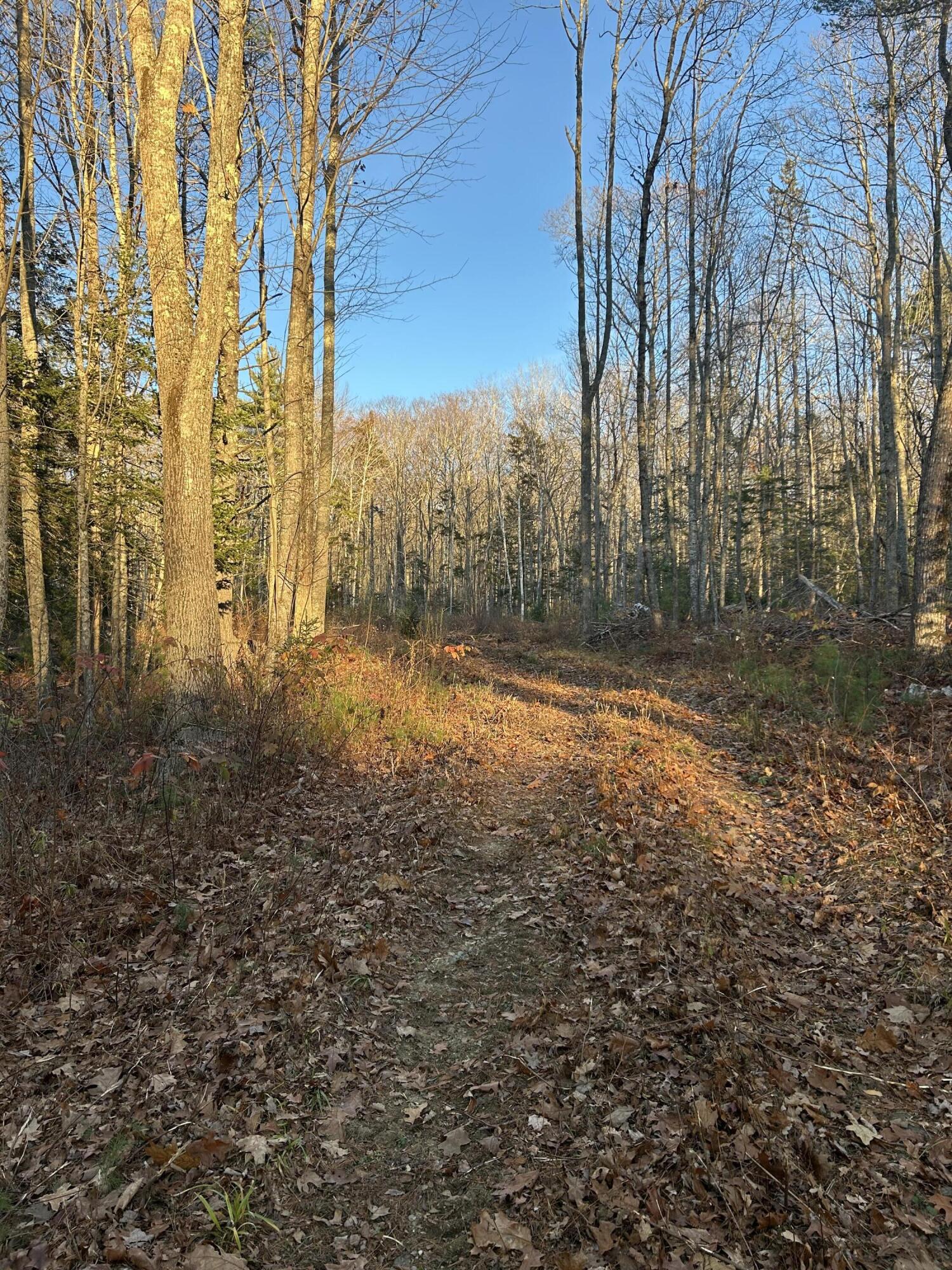 111 Start Road Camden, ME 04843 - Photo 8 of 13 IMG_1322