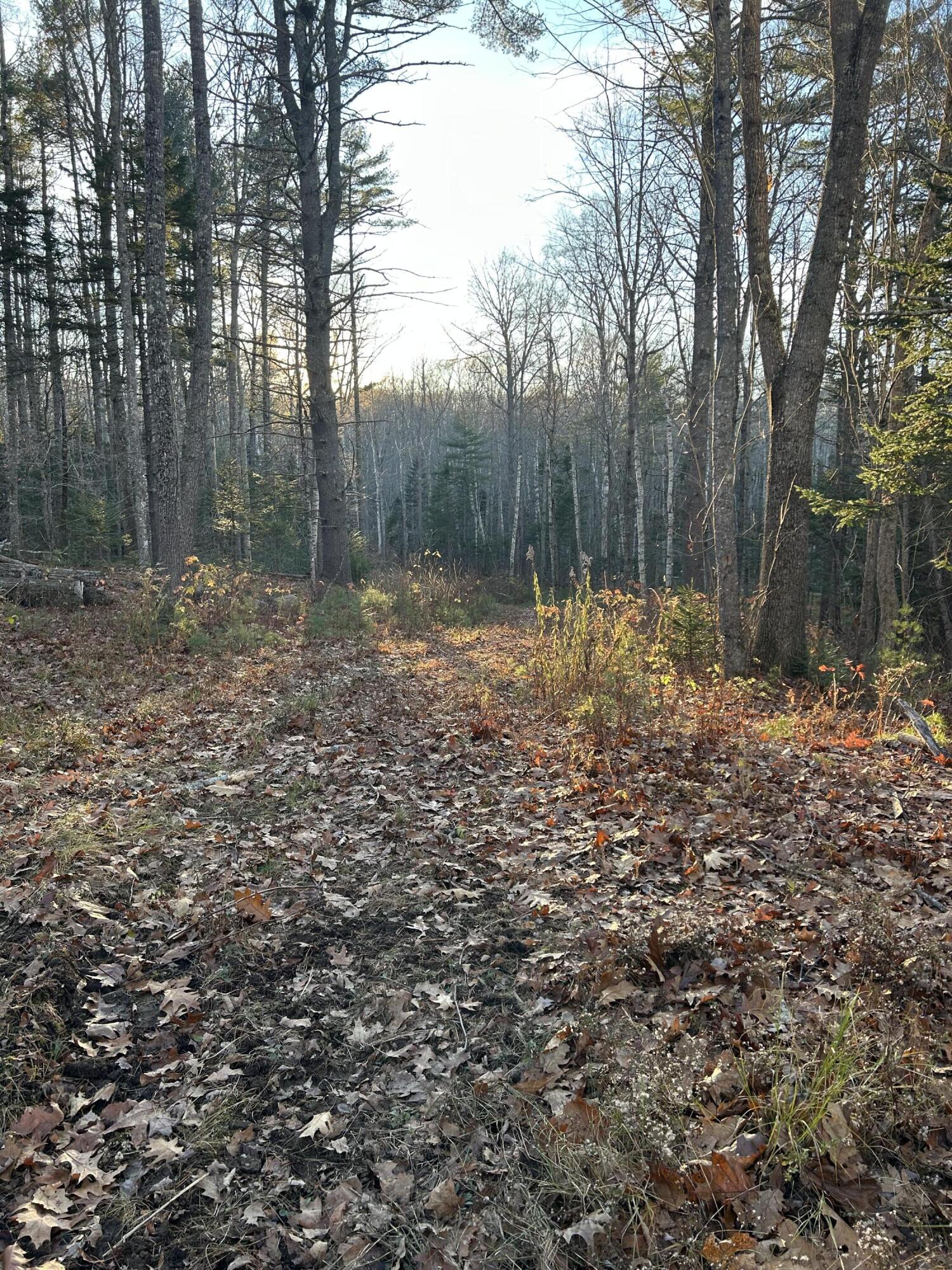 111 Start Road Camden, ME 04843 - Photo 10 of 13 IMG_1321