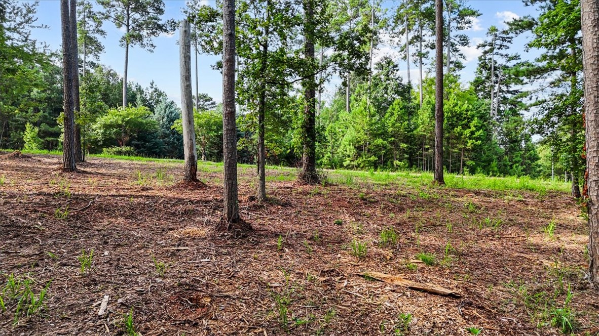 532 Great Oak Way Seneca, SC 29672 - Photo 8 of 13