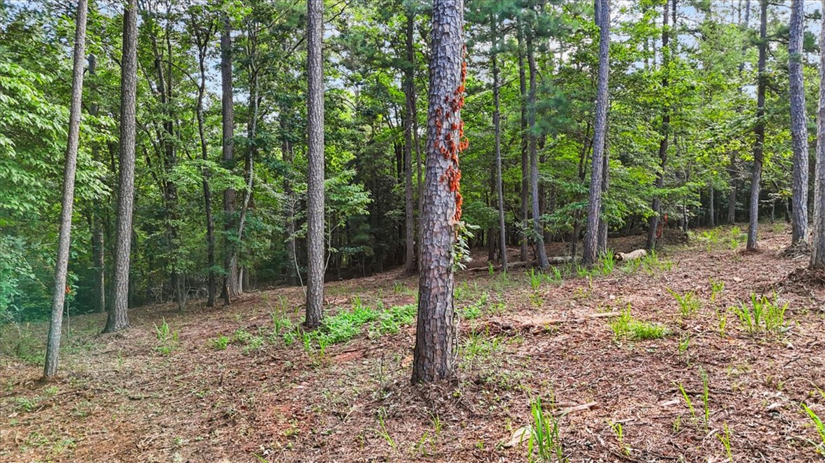 532 Great Oak Way Seneca, SC 29672 - Photo 9 of 13