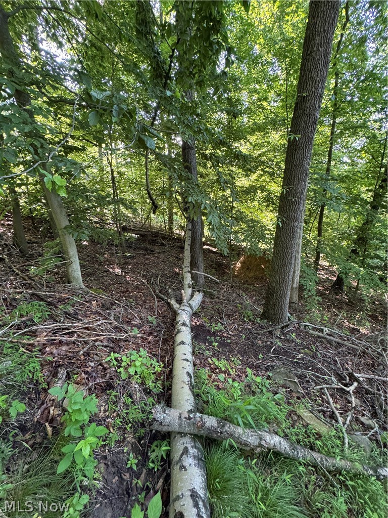 Stone Quarry Road Danville, OH 43014 - Photo 27 of 50