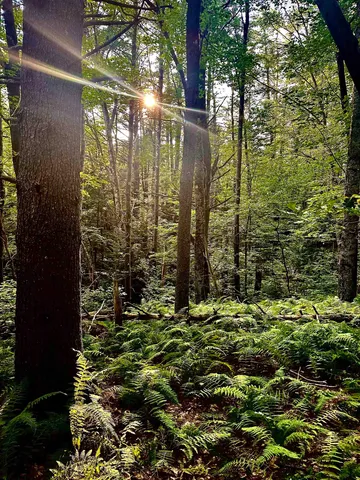 $215,000 | 27 Hillside Drive, Allenstown, NH 03275