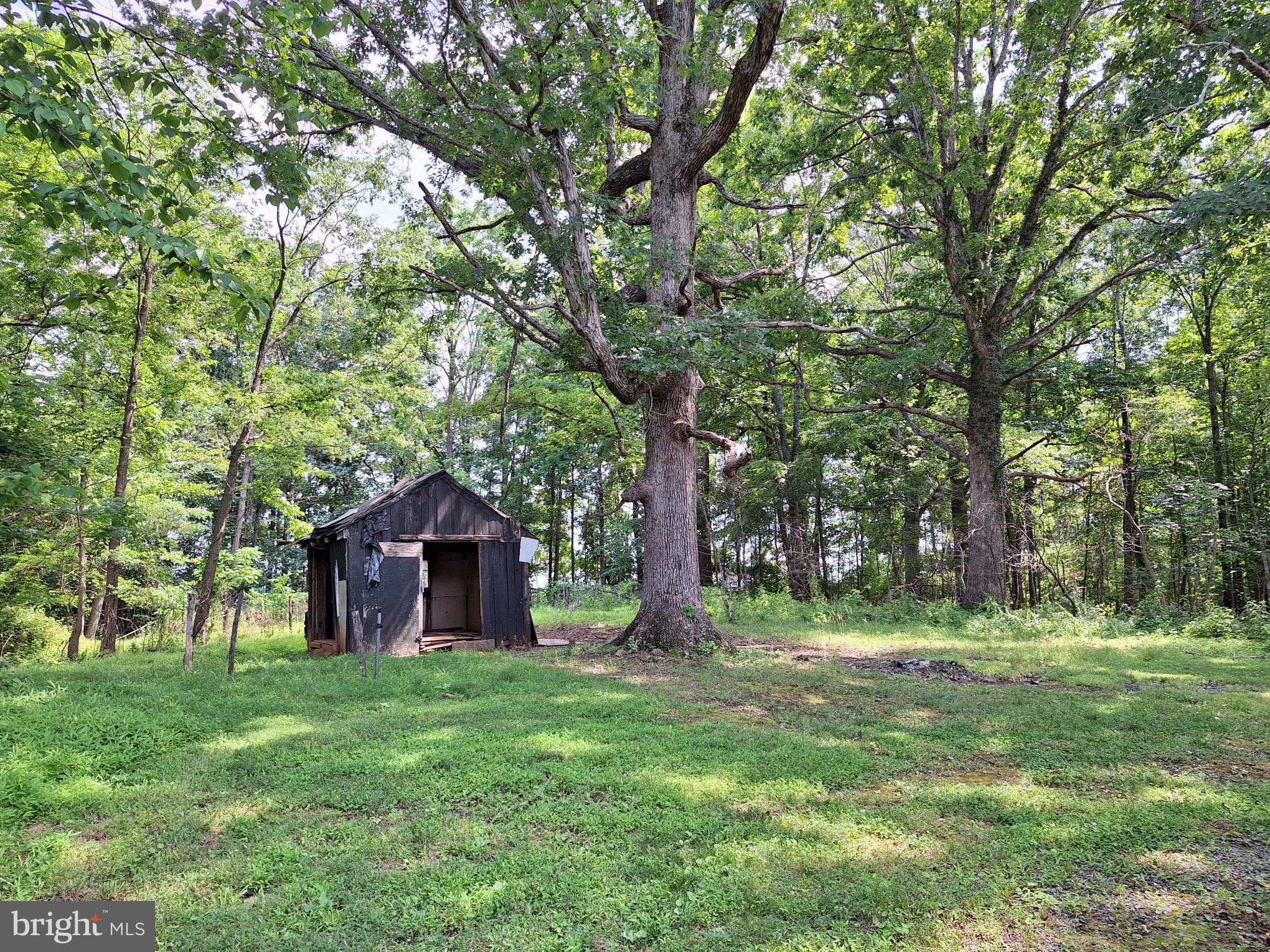 9499 Old Waterloo Road Warrenton, VA 20186 - Photo 12 of 19