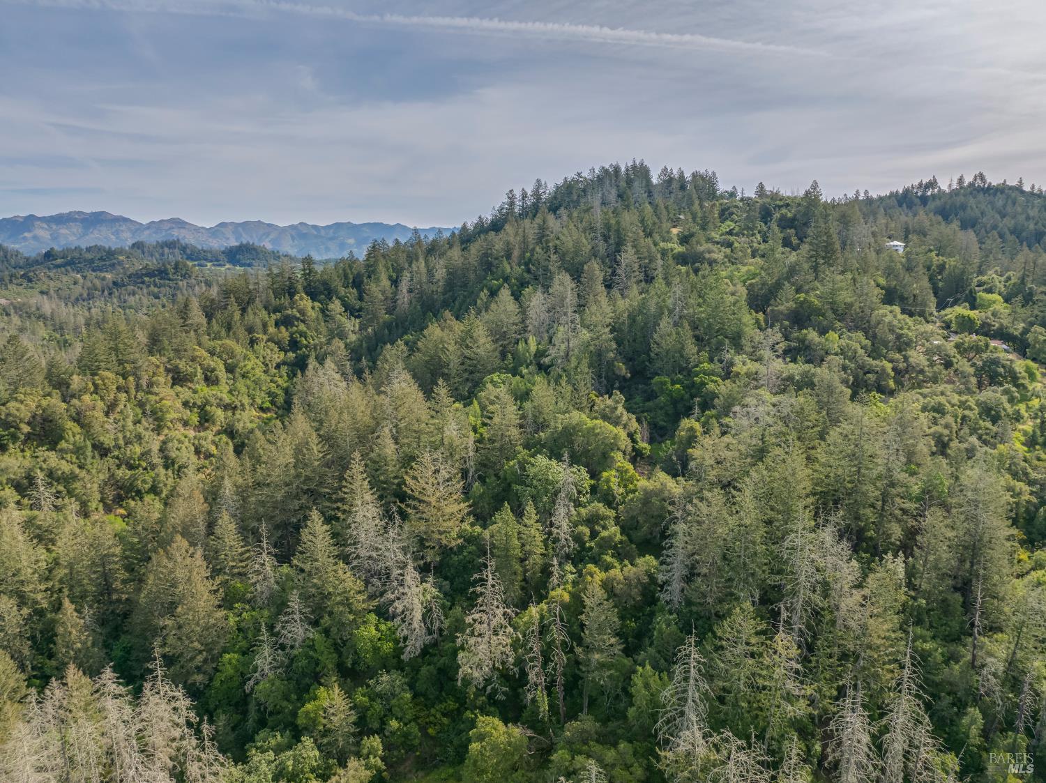 3700 Calistoga Road Santa Rosa, CA 95404 - Photo 86 of 97