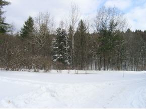 1947 Nebraska Valley Road Stowe, VT 05672 - Photo 9 of 10 Gallery Image 9