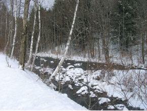 1947 Nebraska Valley Road Stowe, VT 05672 - Photo 10 of 10 Gallery Image 10