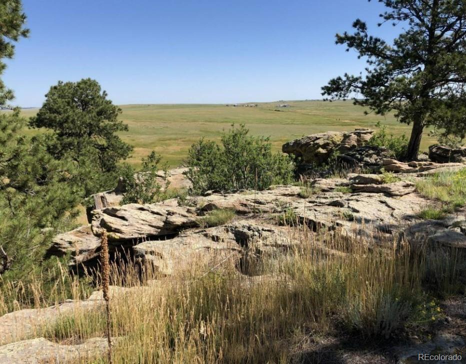 94 Elbert Co Elbert, CO 80106 - Photo 11 of 22
