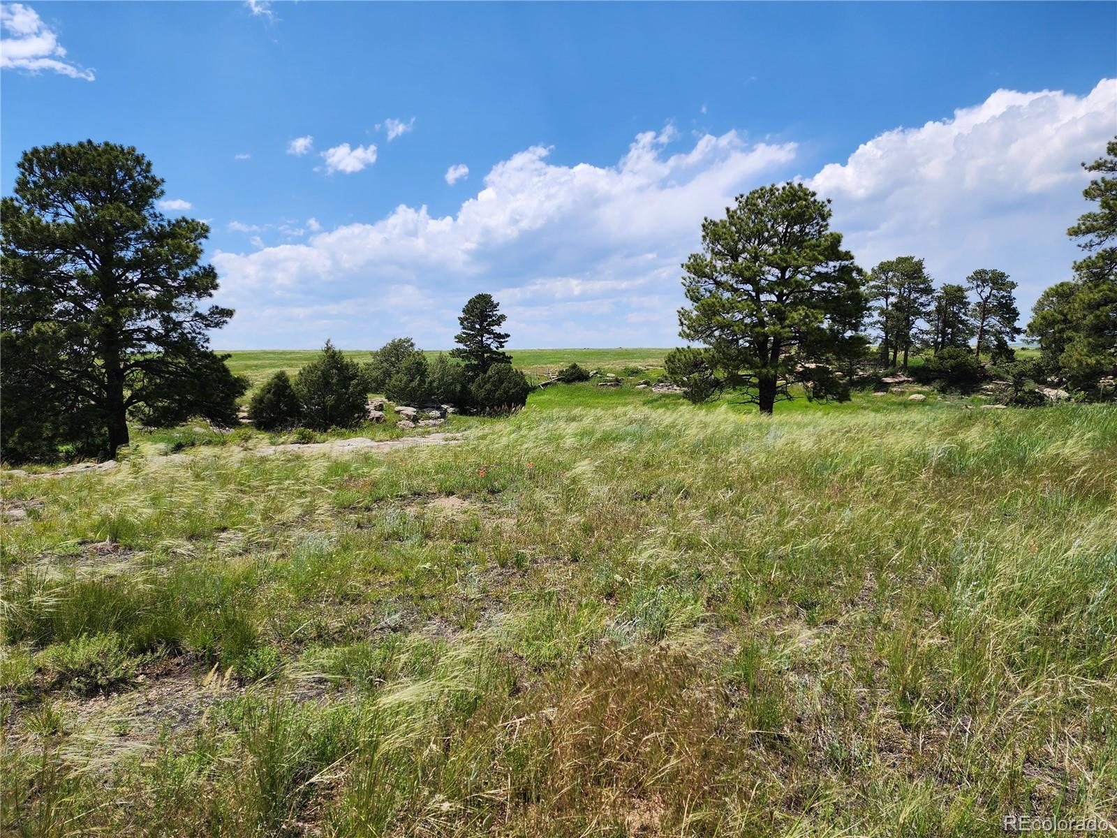 94 Elbert Co Elbert, CO 80106 - Photo 14 of 22
