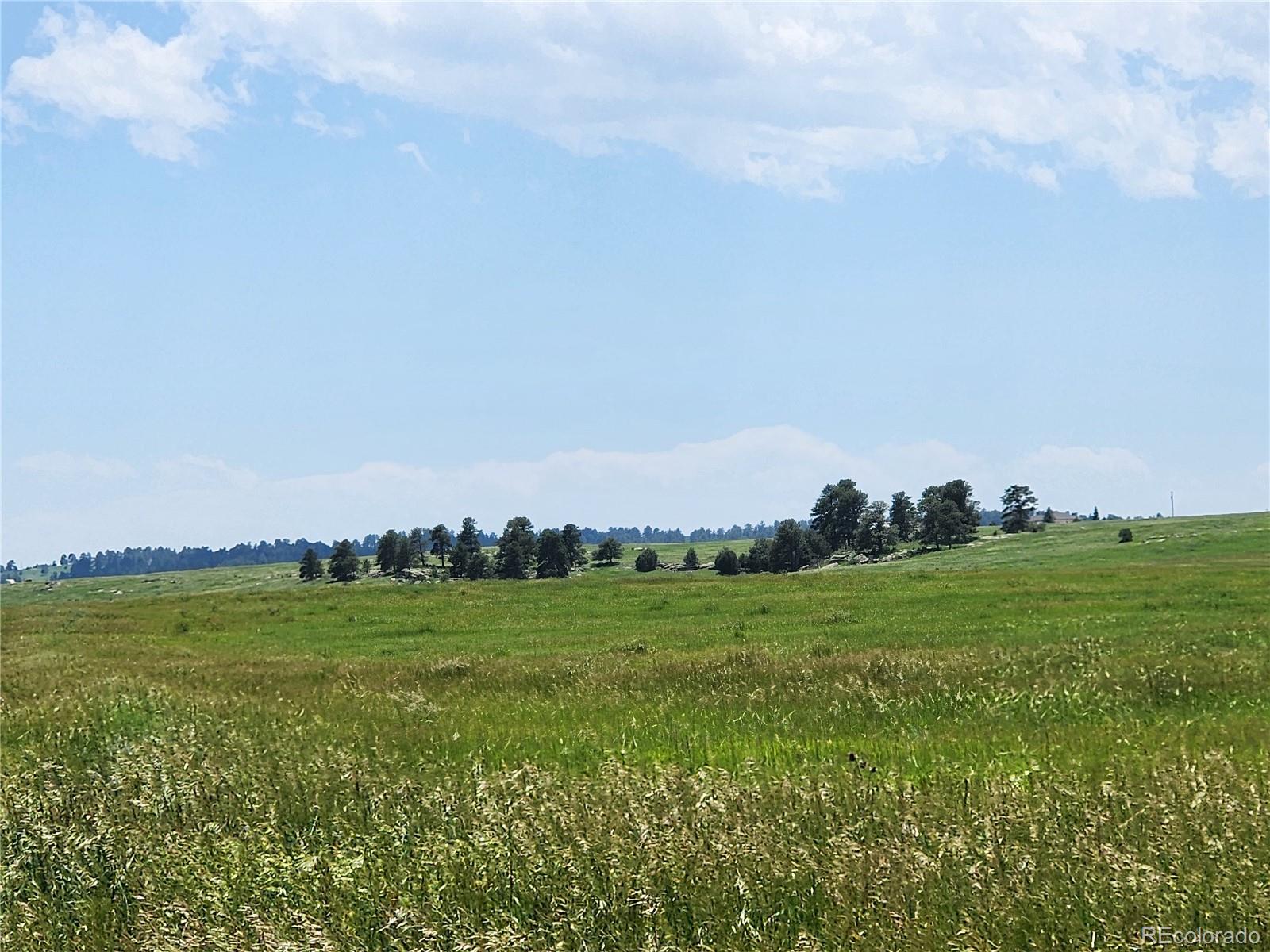 94 Elbert Co Elbert, CO 80106 - Photo 21 of 22