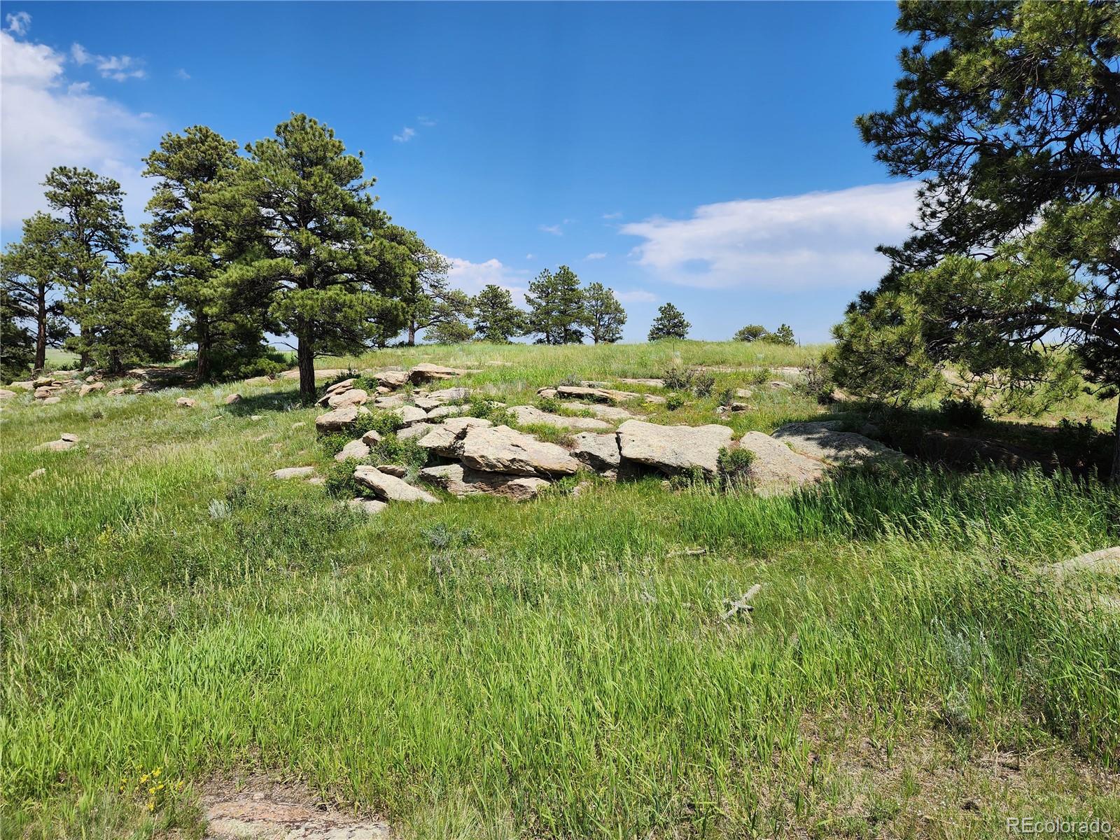 94 Elbert Co Elbert, CO 80106 - Photo 4 of 22