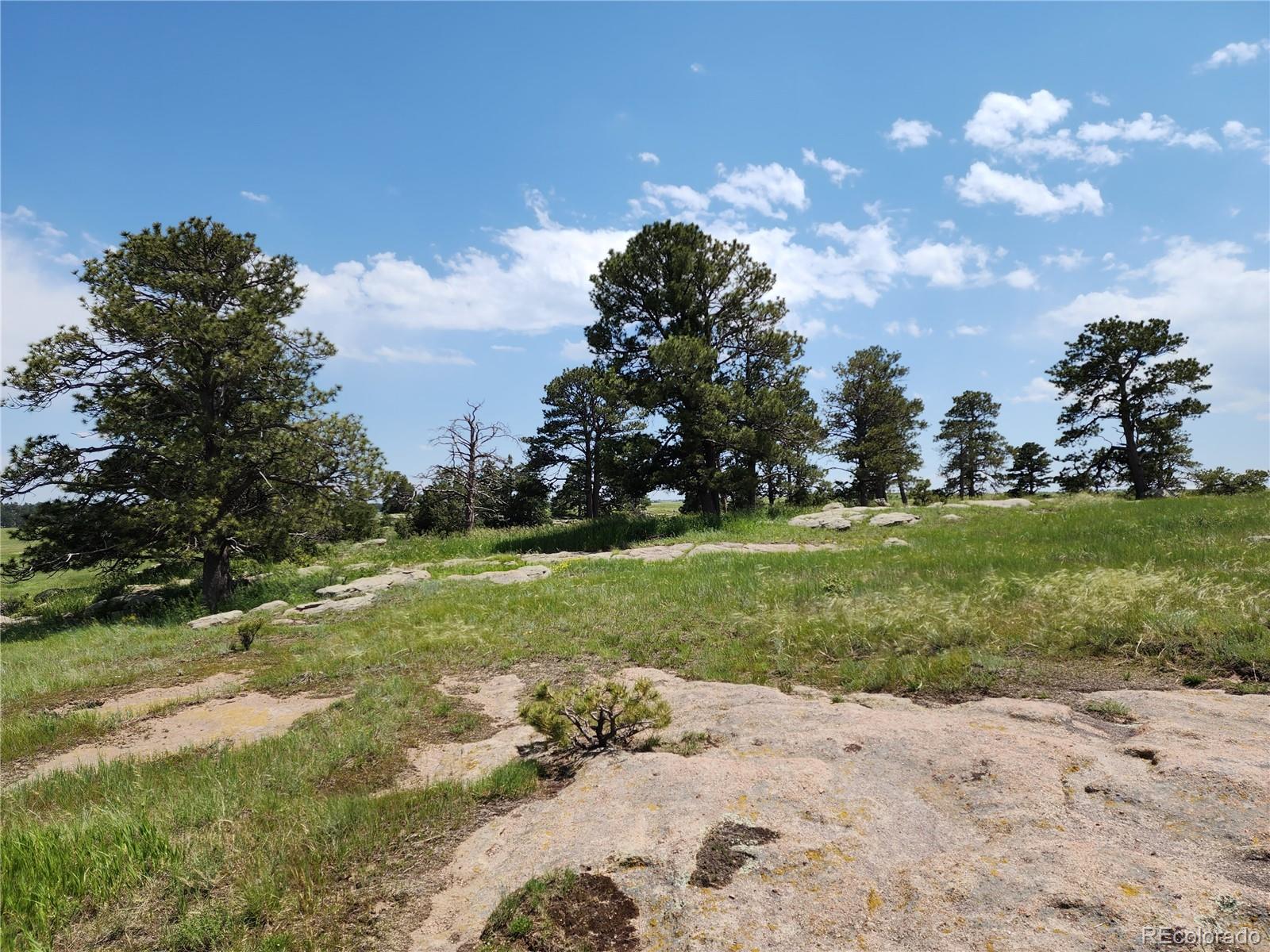 94 Elbert Co Elbert, CO 80106 - Photo 5 of 22