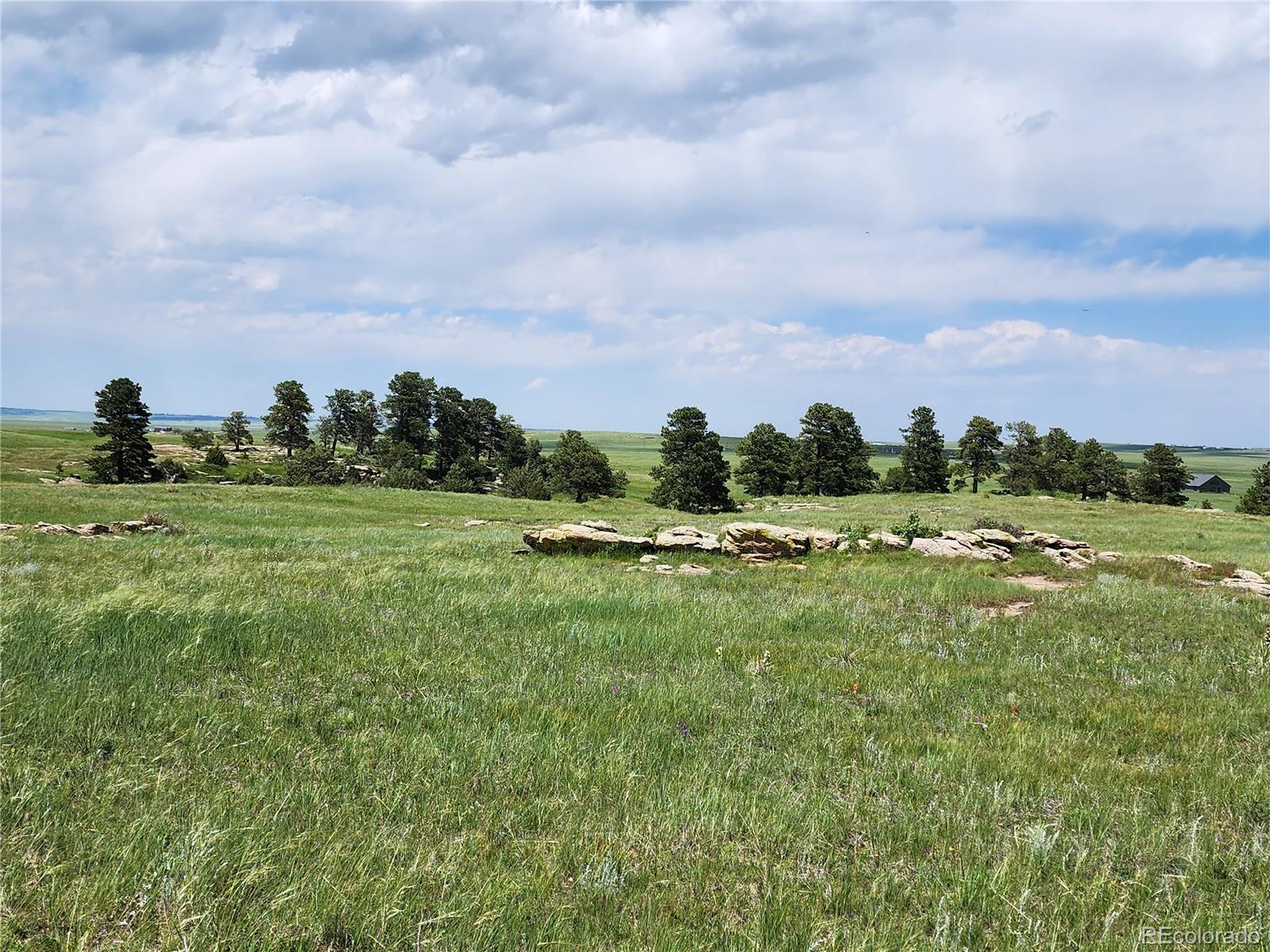 94 Elbert Co Elbert, CO 80106 - Photo 8 of 22