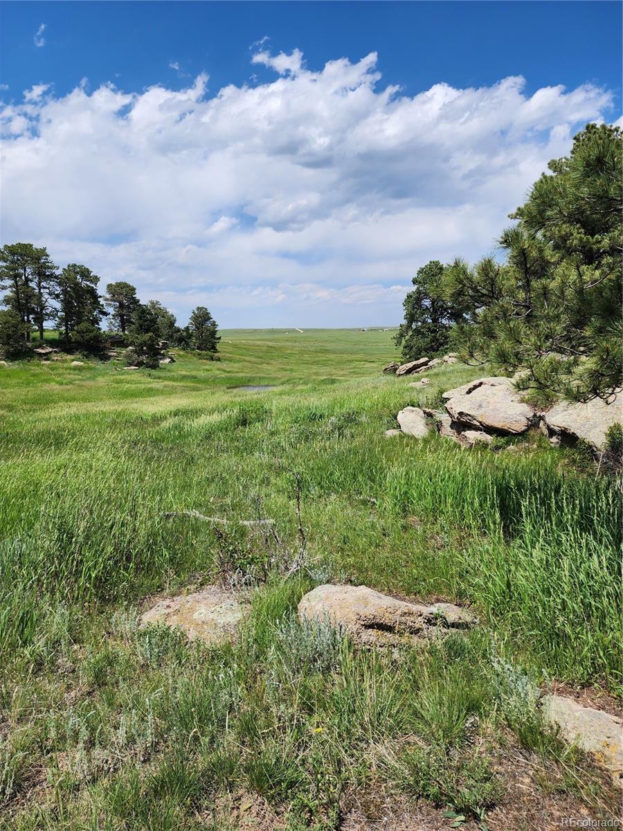 94 Elbert Co Elbert, CO 80106 - Photo 9 of 22