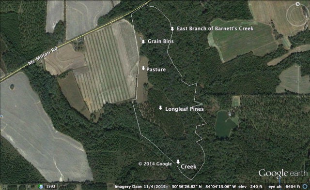 0 83.3 Ac Mcmillan Road Ochlocknee, GA 31773 - Photo 1 of 1 Main View