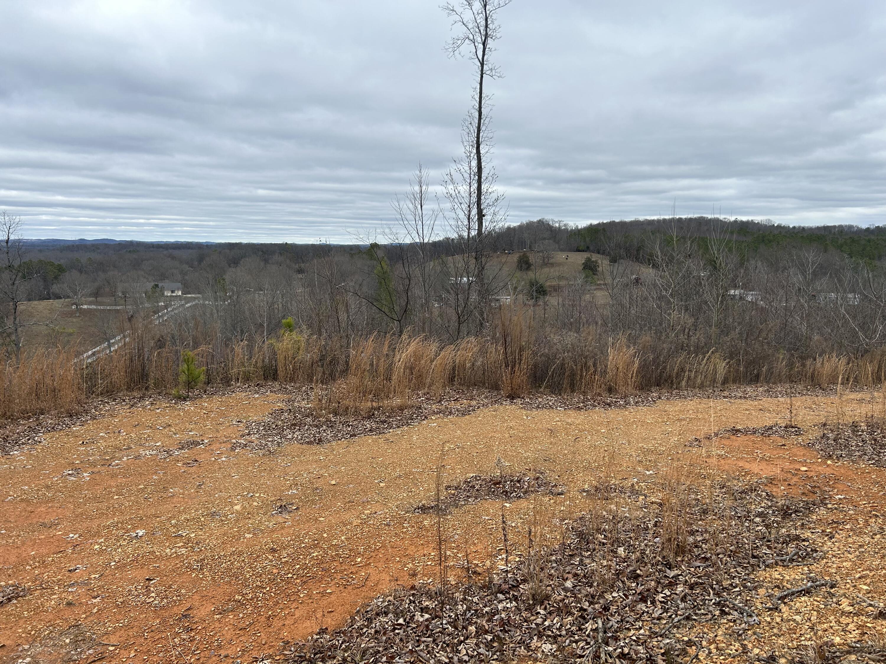 0 East Emerson Road Cohutta, GA 30710 - Photo 3 of 19 IMG_1096