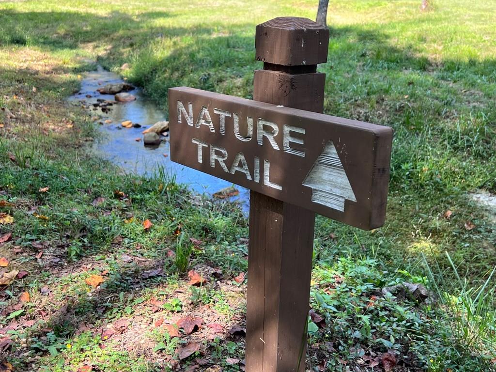 Lot 5 Blalock Mountain Road Talking Rock, GA 30175 - Photo 21 of 22