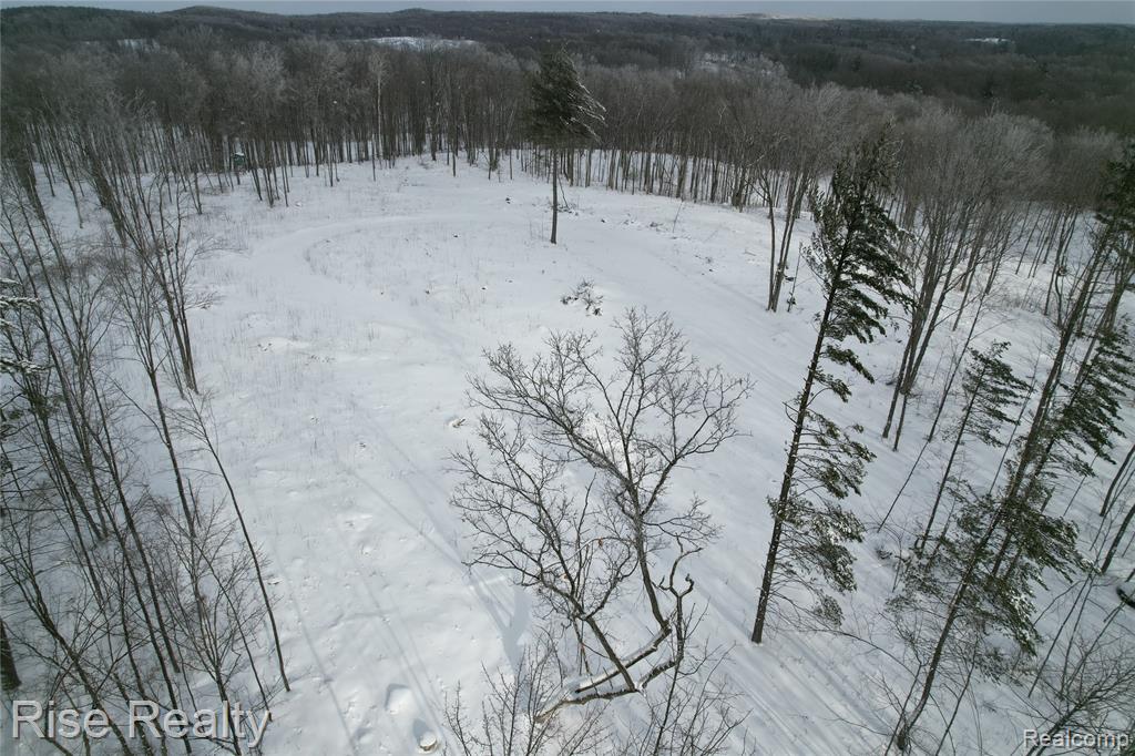 11860 22 3/4 Road Manton, MI 49663 - Photo 3 of 6