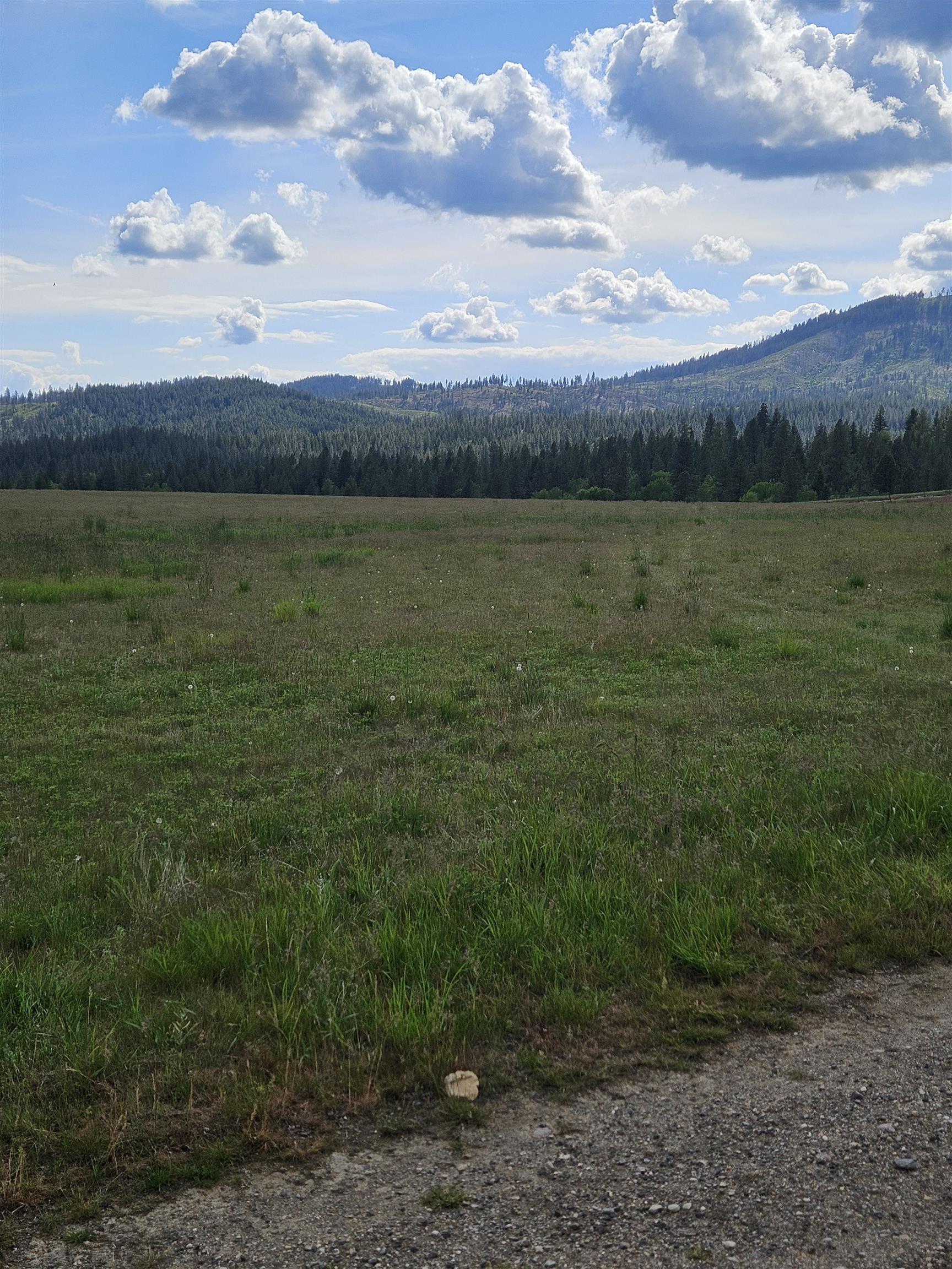 52-xx Wagner Road Springdale, WA 99173 - Photo 11 of 21