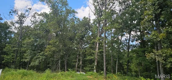 $179,999 | 456 Pcr 740, Perryville, MO 63775