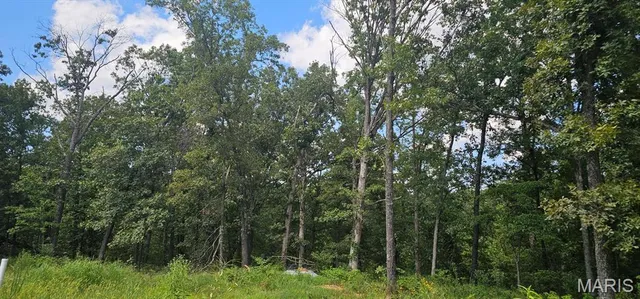 $189,900 | 456 Pcr 740, Perryville, MO 63775