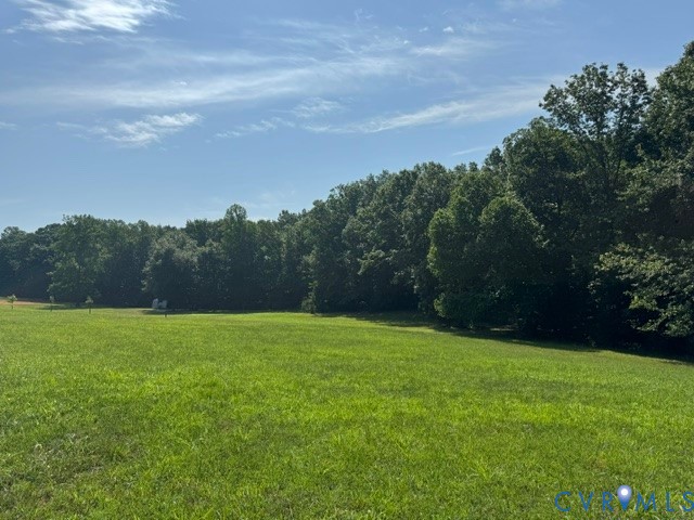 1927 Five Forks Road Pamplin, VA 23958 - Photo 8 of 42 Expansive grassy yard backed by a dense treeline