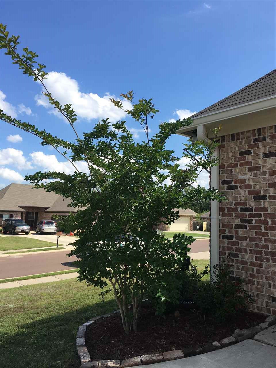 309 Ridge Pointe Drive Brandon, MS 39042 - Photo 25 of 29 Photo 26
