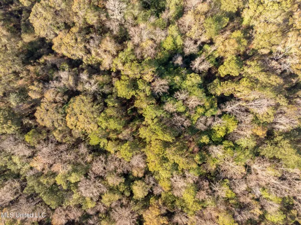 $142,000 | 0 East Bond Road, Wiggins, MS 39577