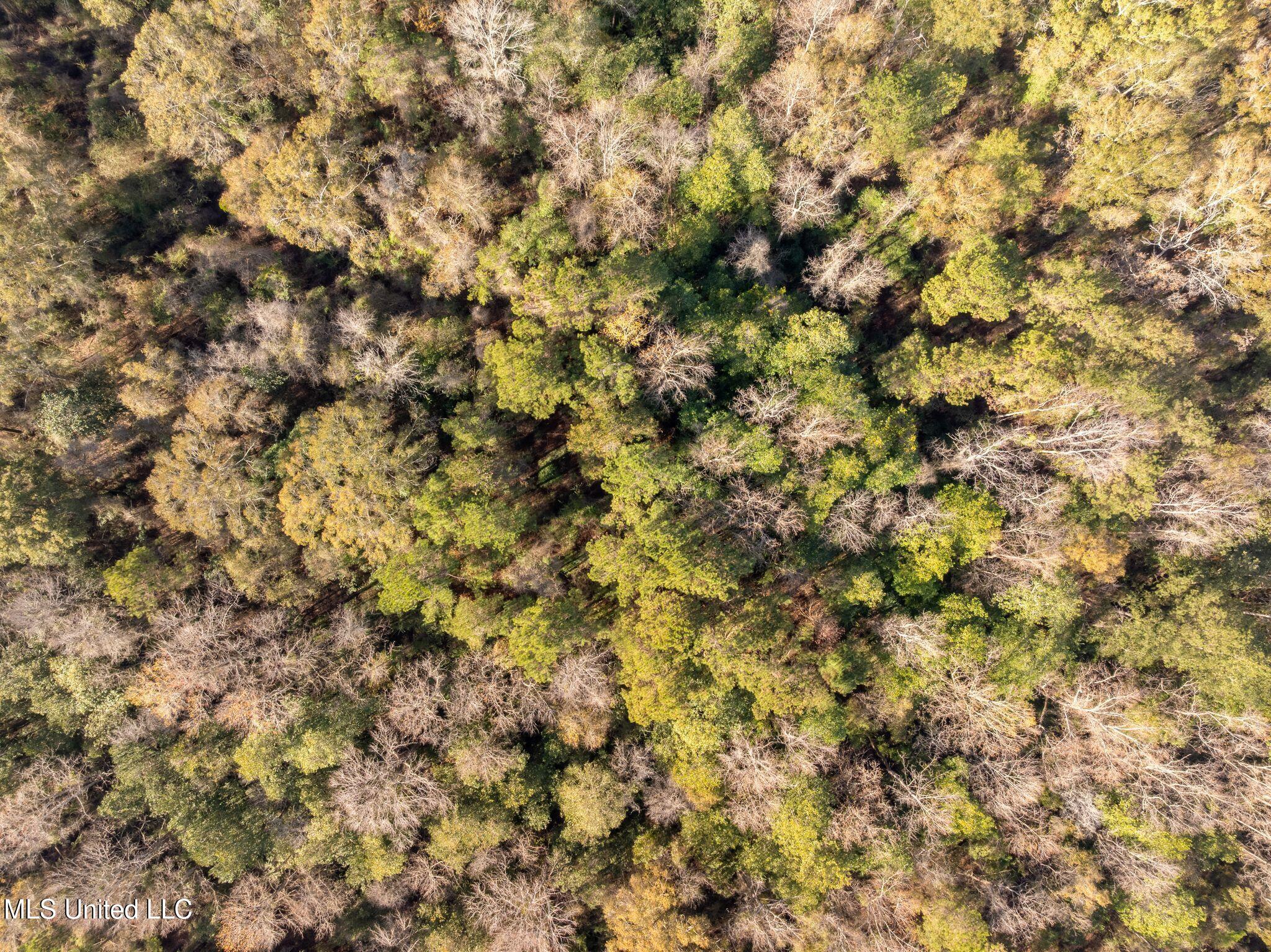 0 East Bond Road Wiggins, MS 39577 - Photo 11 of 12 340_E_Bond_Rd-11