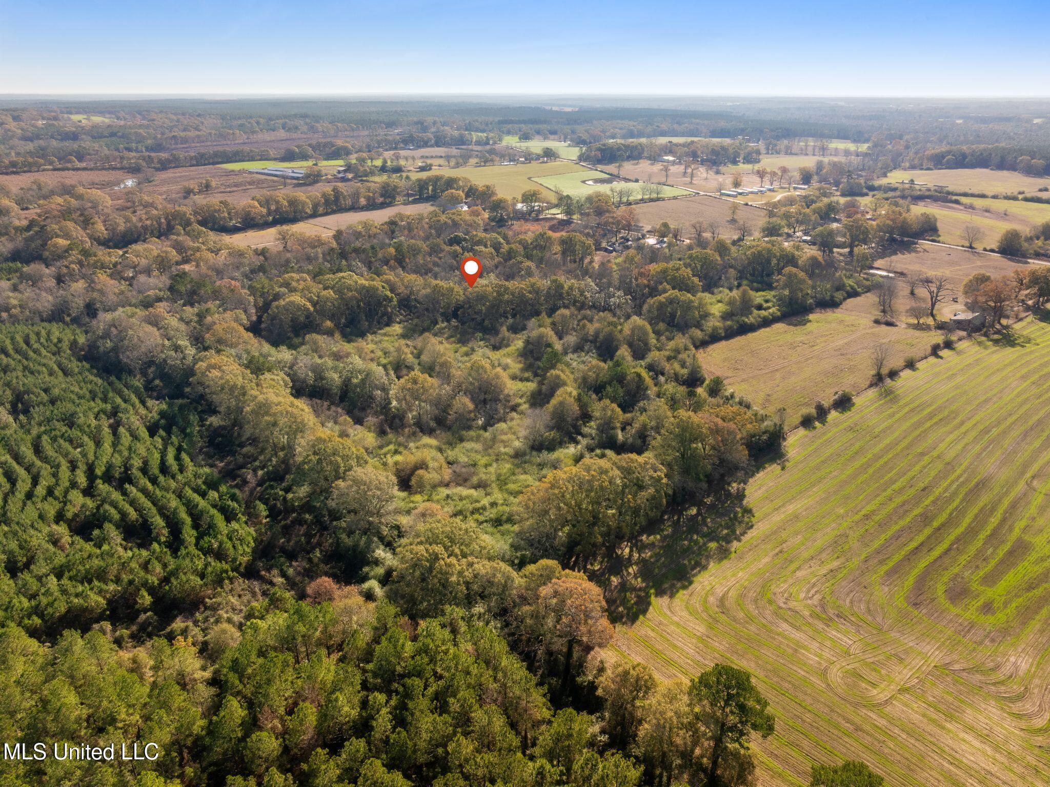 0 East Bond Road Wiggins, MS 39577 - Photo 4 of 12 340_E_Bond_Rd-4