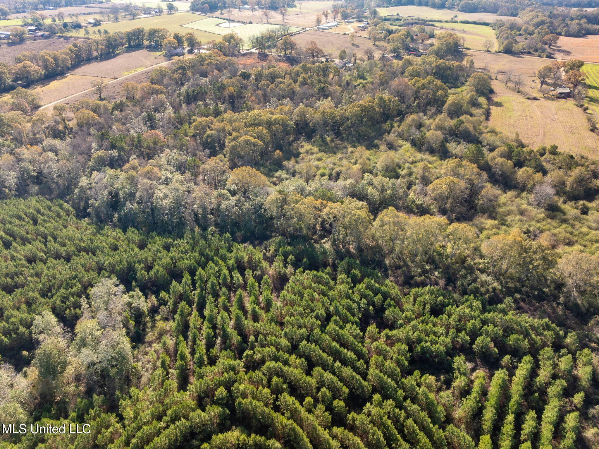 0 East Bond Road Wiggins, MS 39577 - Photo 5 of 12 340_E_Bond_Rd-5