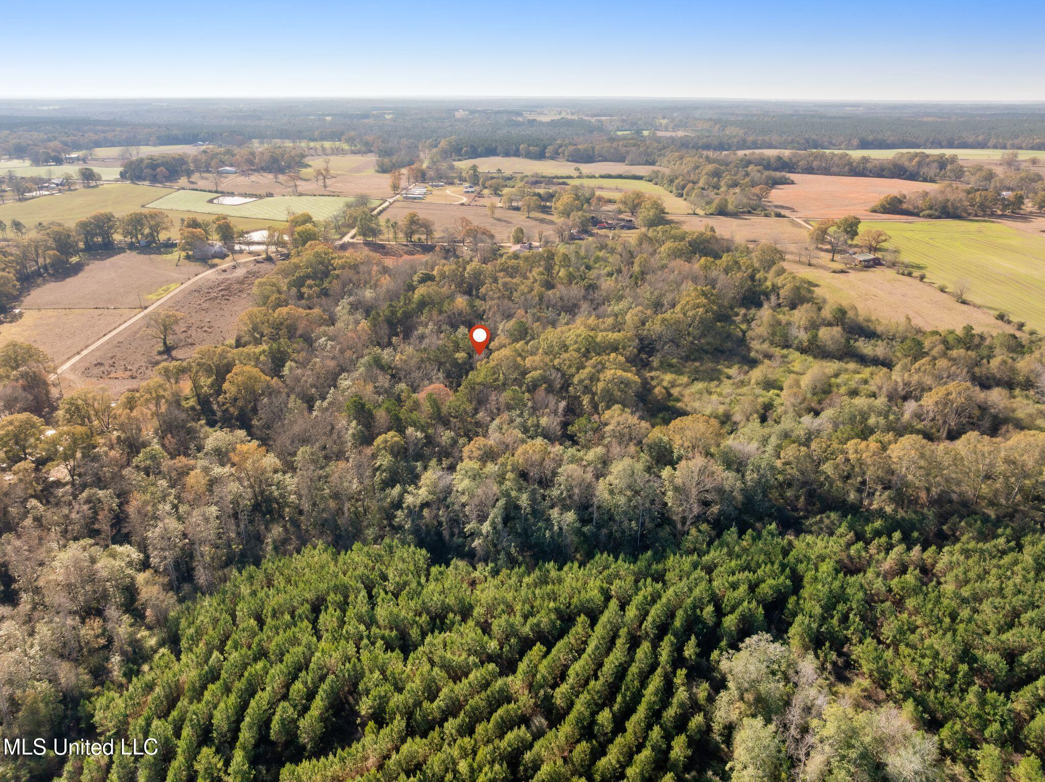 0 East Bond Road Wiggins, MS 39577 - Photo 6 of 12 340_E_Bond_Rd-6