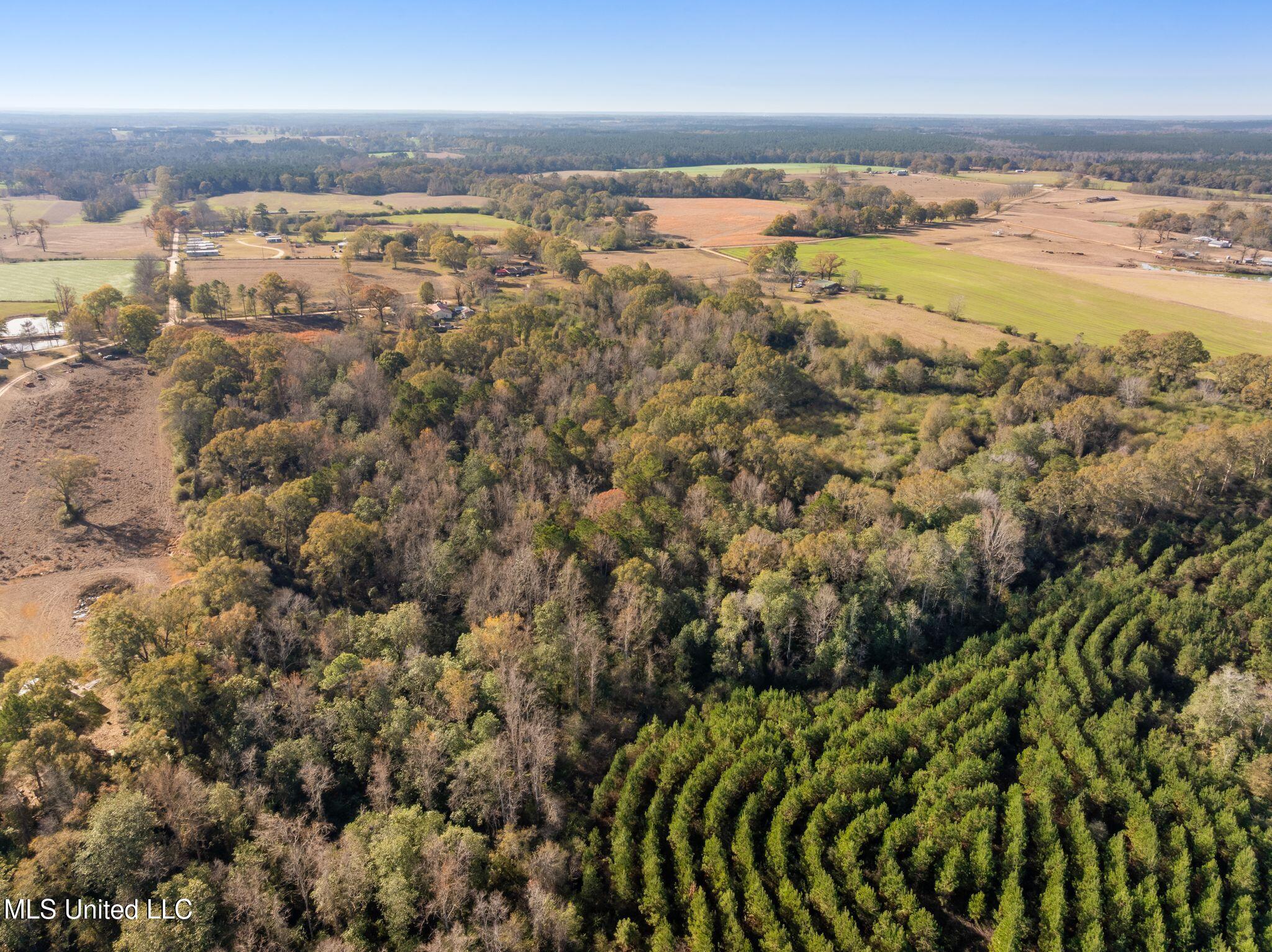 0 East Bond Road Wiggins, MS 39577 - Photo 7 of 12 340_E_Bond_Rd-7