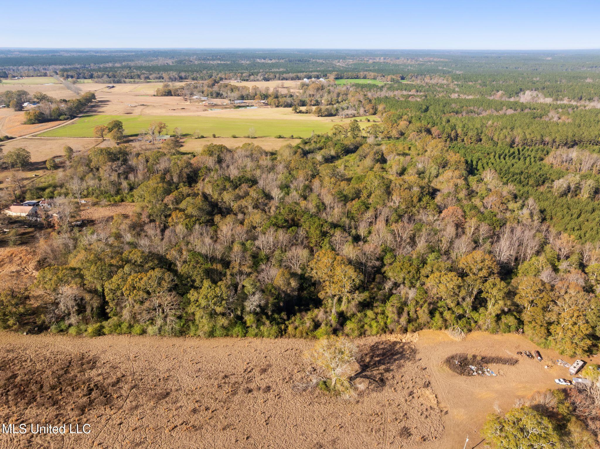 0 East Bond Road Wiggins, MS 39577 - Photo 9 of 12 340_E_Bond_Rd-9