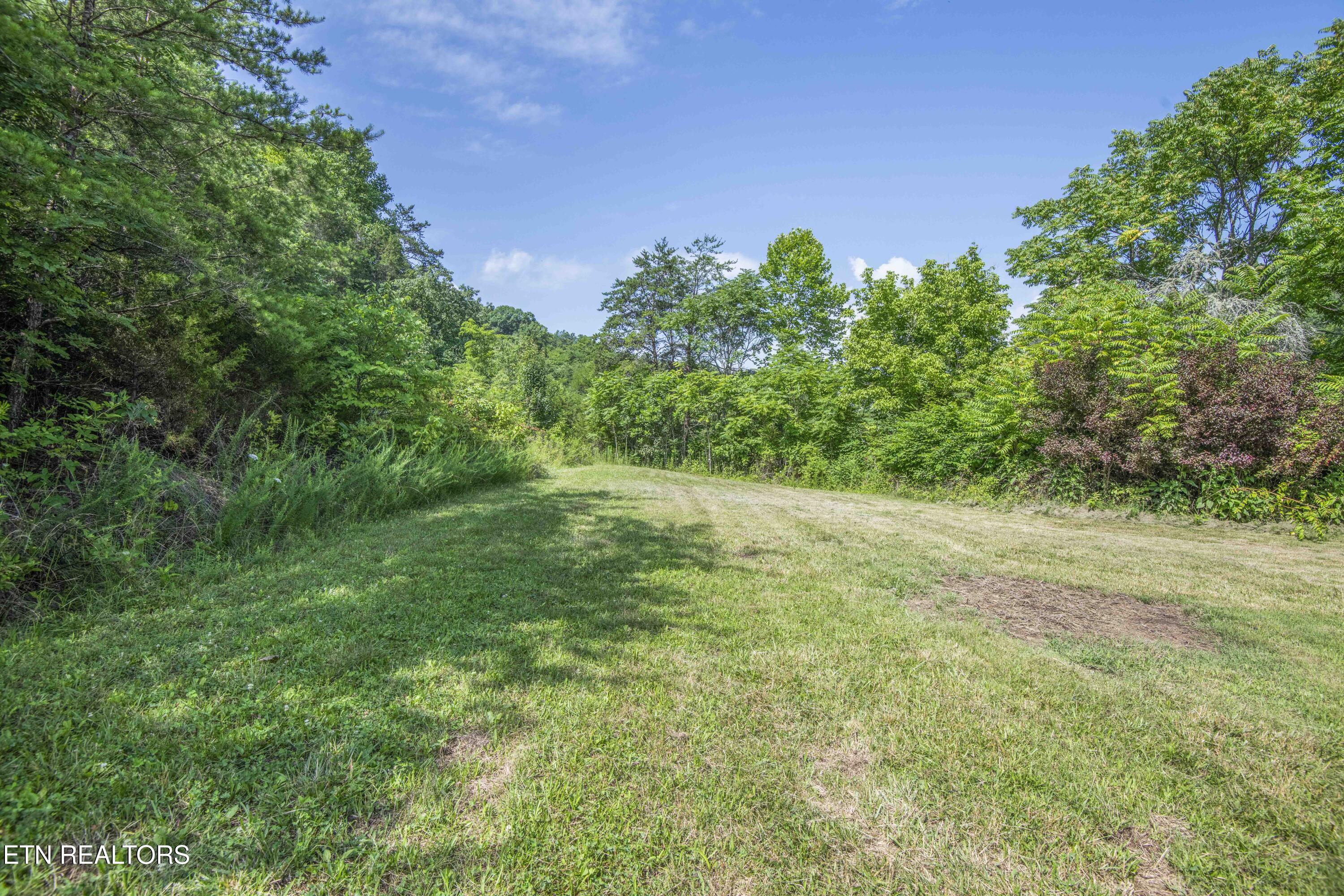 1587 Lower Caney Valley Road Tazewell, TN 37879 - Photo 33 of 42 yard 11_1