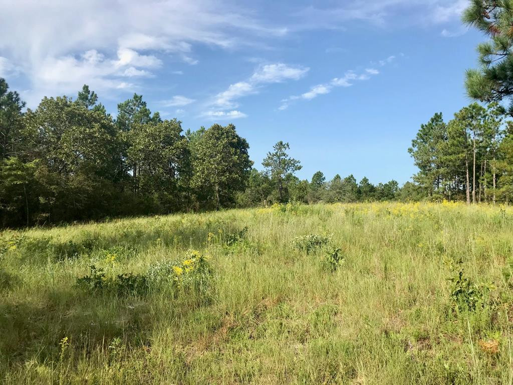 Lot#13-19 Holder Road Batesburg, SC 29006 - Photo 14 of 18